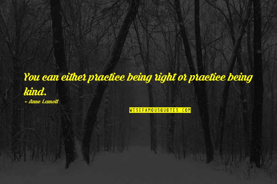 Being Right Or Kind Quotes By Anne Lamott: You can either practice being right or practice