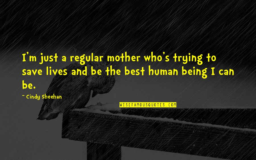 Being S Mother Quotes By Cindy Sheehan: I'm just a regular mother who's trying to