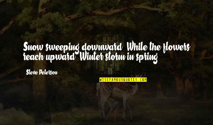 Being Sad And Smiling Quotes By Steve Peterson: Snow sweeping downward, While the flowers reach upward--Winter