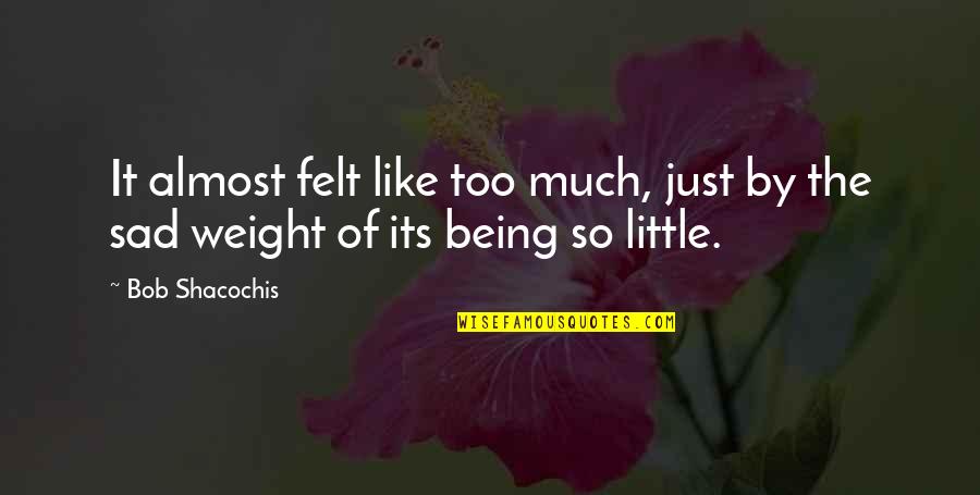 Being Sad Quotes By Bob Shacochis: It almost felt like too much, just by