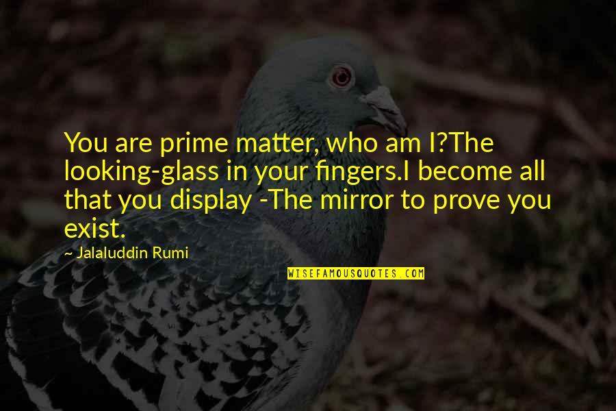 Being Satisfied With Your Life Quotes By Jalaluddin Rumi: You are prime matter, who am I?The looking-glass