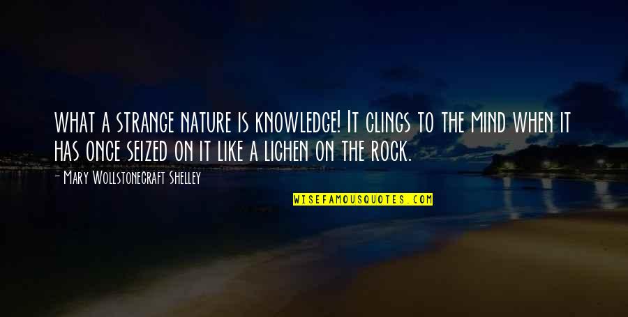 Being Satisfied With Your Life Quotes By Mary Wollstonecraft Shelley: what a strange nature is knowledge! It clings