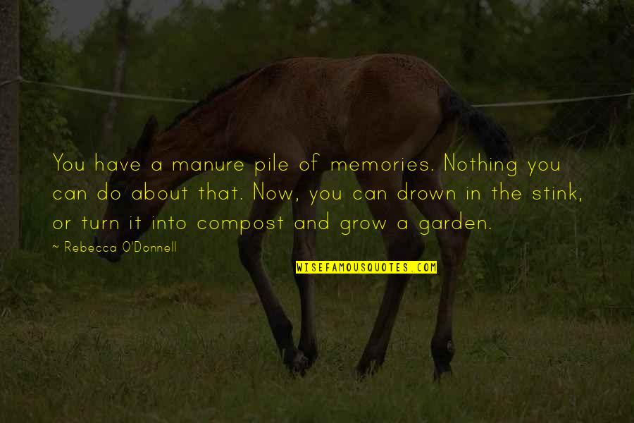 Being Scared Of The Unknown Quotes By Rebecca O'Donnell: You have a manure pile of memories. Nothing