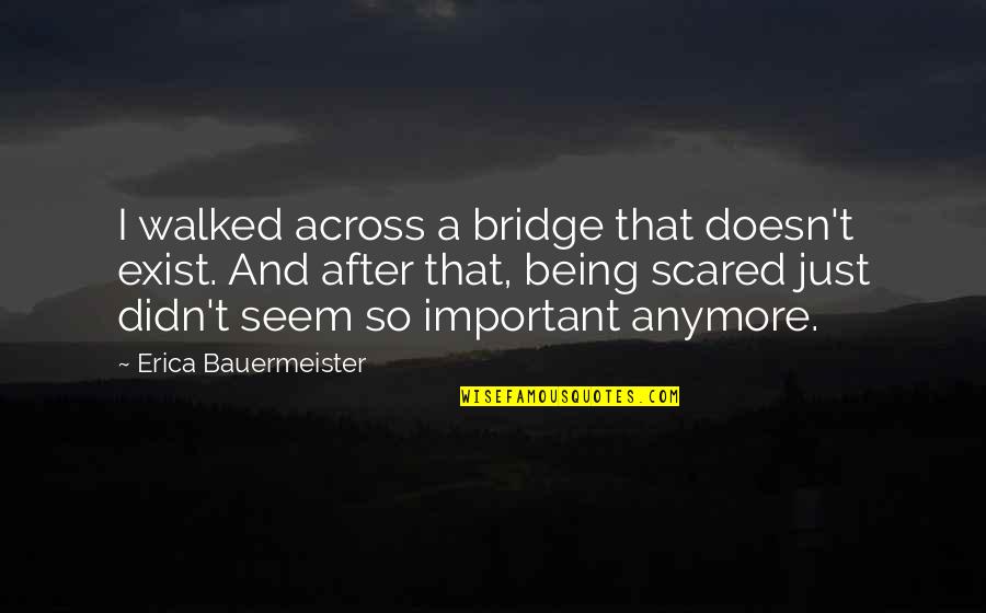 Being Scared Quotes By Erica Bauermeister: I walked across a bridge that doesn't exist.
