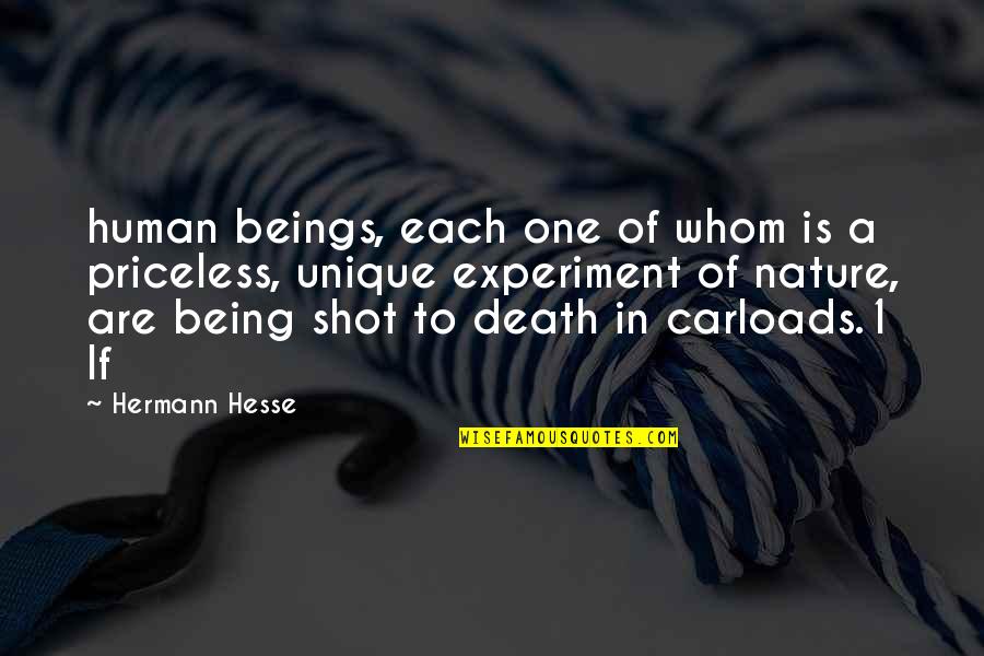 Being Shot Quotes By Hermann Hesse: human beings, each one of whom is a