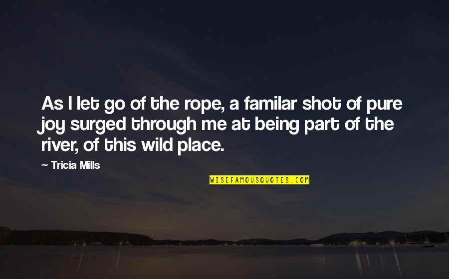 Being Shot Quotes By Tricia Mills: As I let go of the rope, a