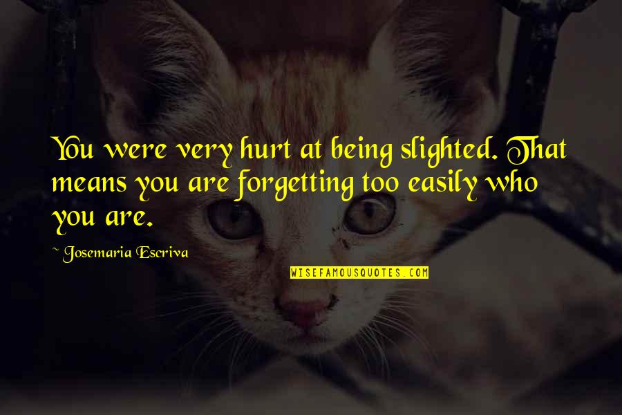 Being Slighted Quotes By Josemaria Escriva: You were very hurt at being slighted. That