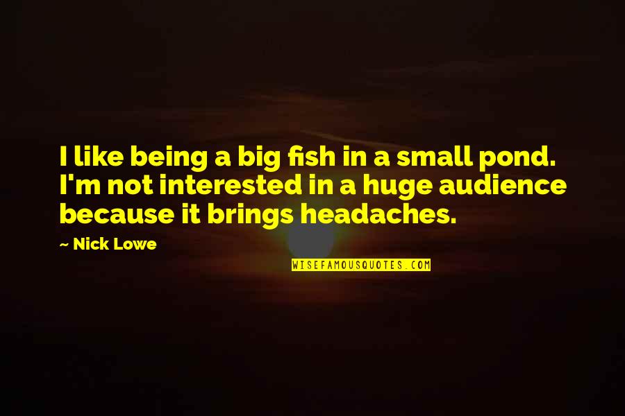 Being Small Quotes By Nick Lowe: I like being a big fish in a