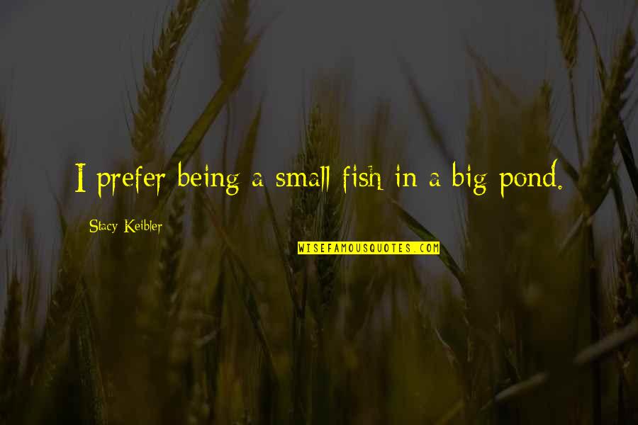 Being Small Quotes By Stacy Keibler: I prefer being a small fish in a
