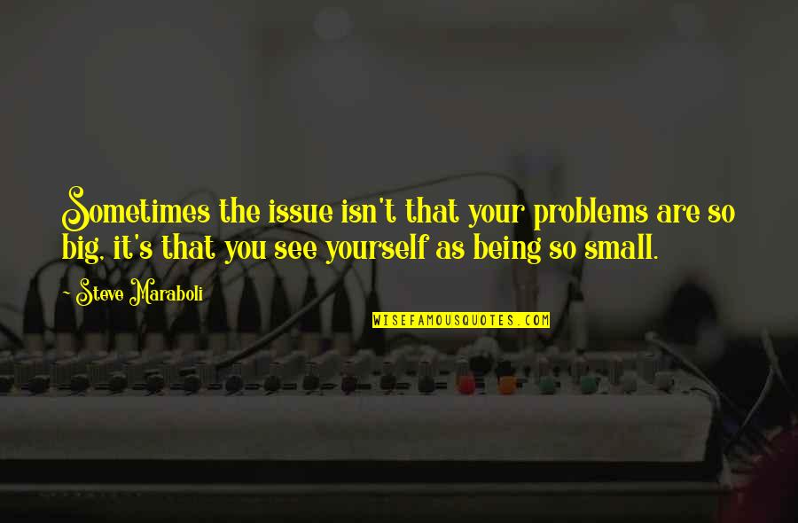 Being Small Quotes By Steve Maraboli: Sometimes the issue isn't that your problems are