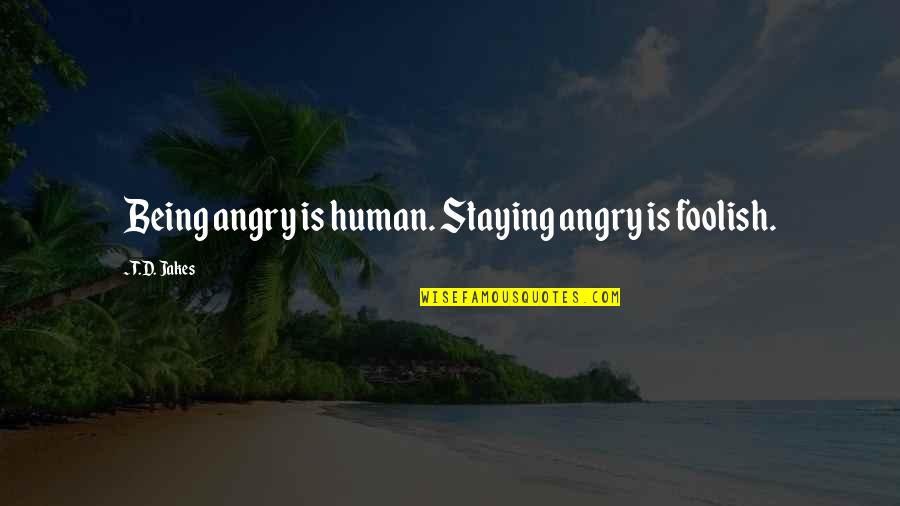 Being So Angry Quotes By T.D. Jakes: Being angry is human. Staying angry is foolish.