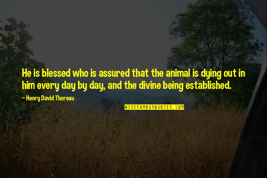Being So Blessed Quotes By Henry David Thoreau: He is blessed who is assured that the