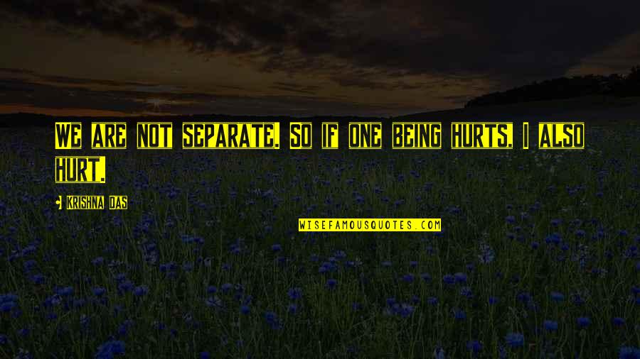 Being So Hurt Quotes By Krishna Das: We are not separate. So if one being
