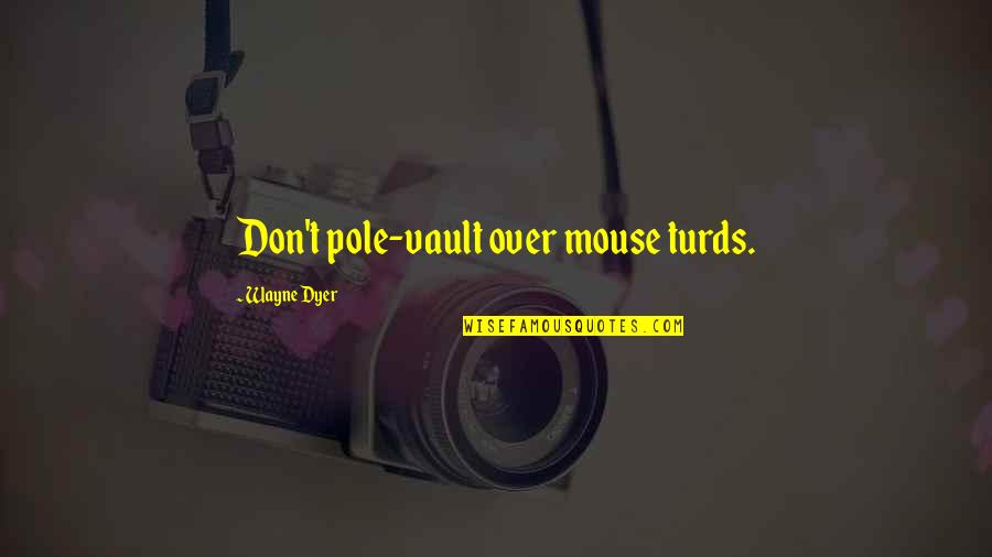 Being Social Climber Quotes By Wayne Dyer: Don't pole-vault over mouse turds.