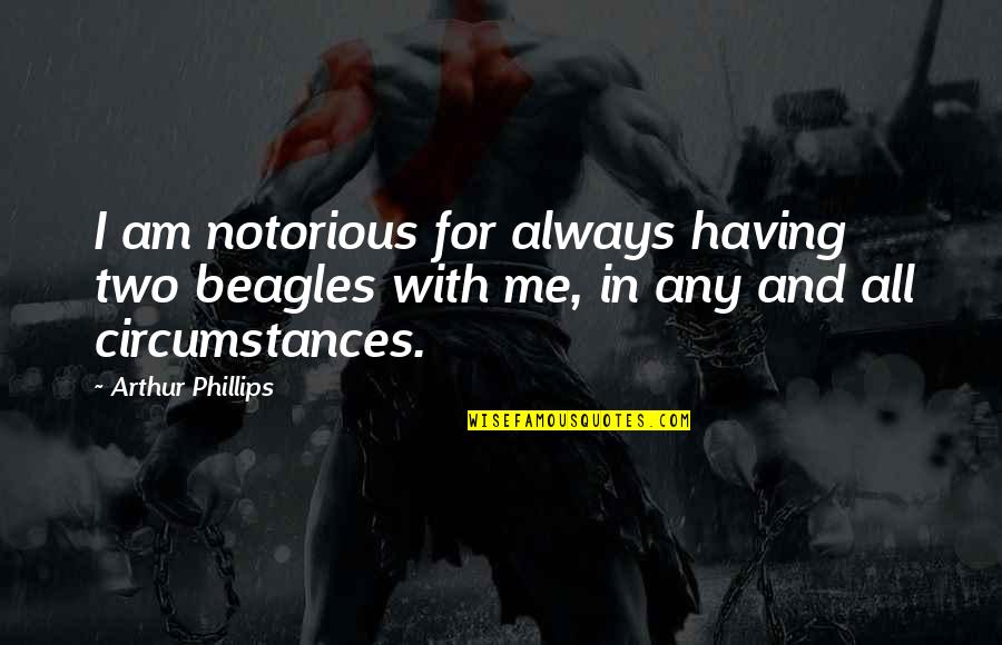 Being Sorry For Hurting Someone You Love Quotes By Arthur Phillips: I am notorious for always having two beagles