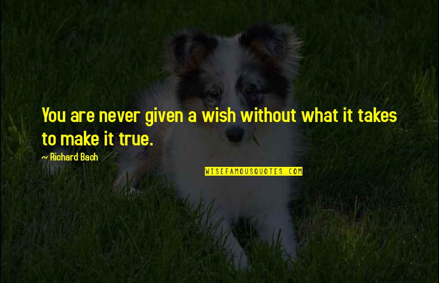 Being Spirited Quotes By Richard Bach: You are never given a wish without what