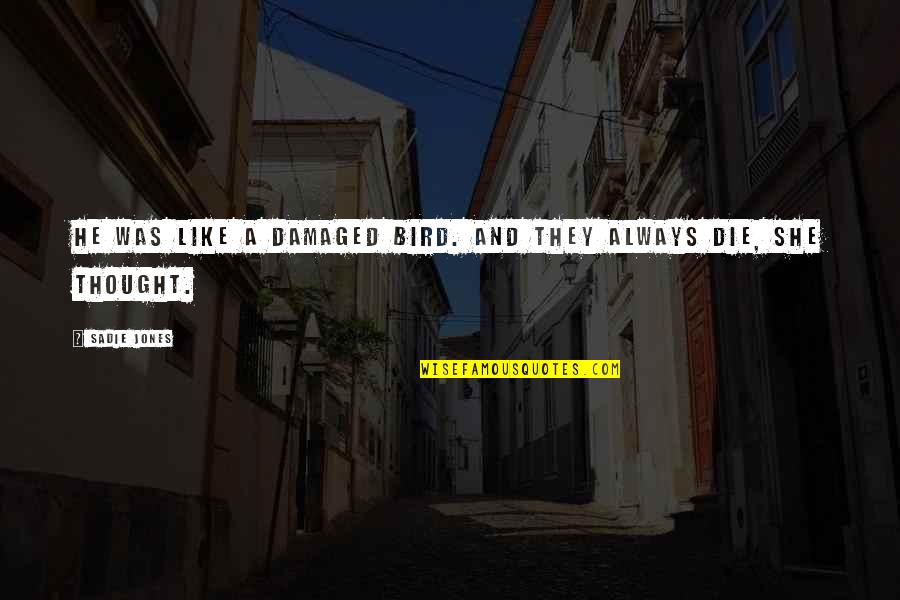 Being Standoffish Quotes By Sadie Jones: He was like a damaged bird. And they