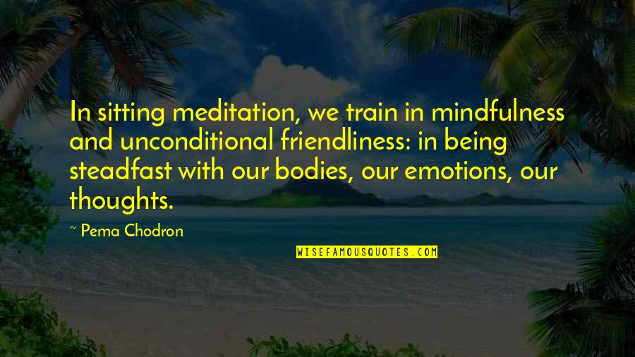 Being Steadfast Quotes By Pema Chodron: In sitting meditation, we train in mindfulness and