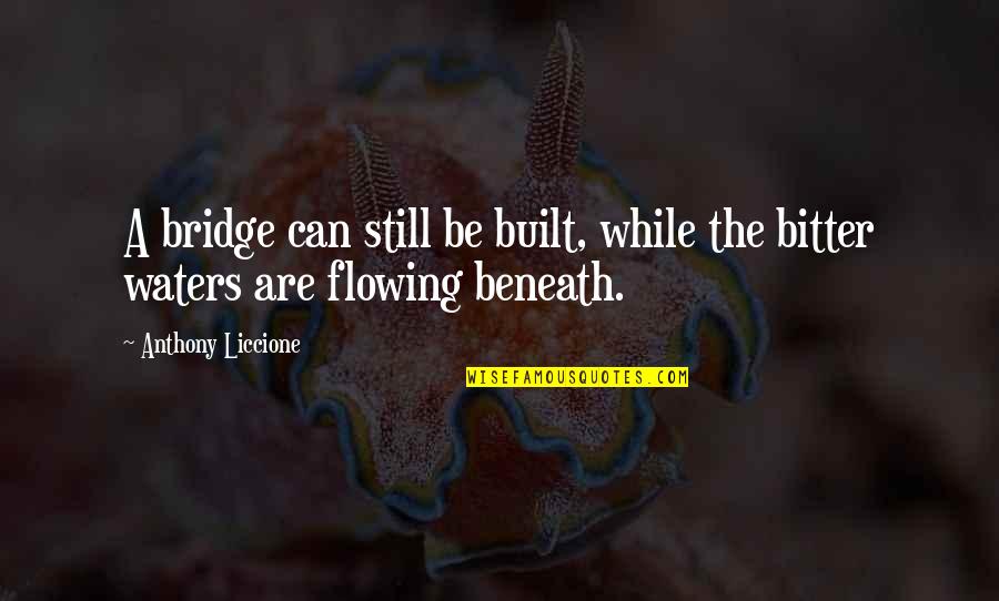 Being Strong And Moving On Quotes By Anthony Liccione: A bridge can still be built, while the