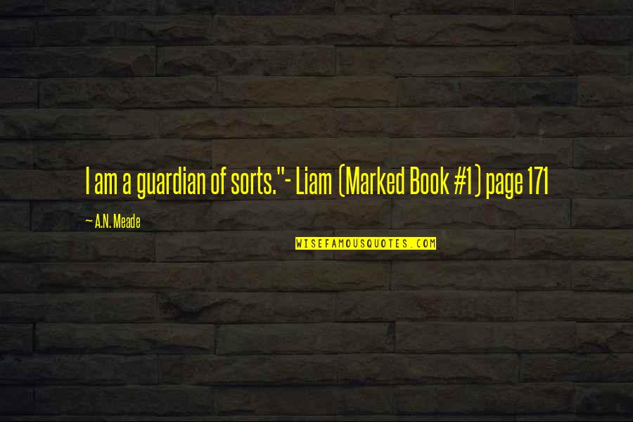 Being Strong But Hurting Quotes By A.N. Meade: I am a guardian of sorts."- Liam (Marked