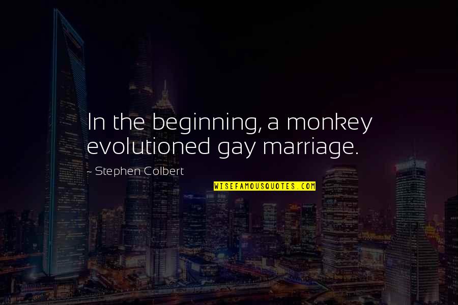 Being Strong For Someone Quotes By Stephen Colbert: In the beginning, a monkey evolutioned gay marriage.