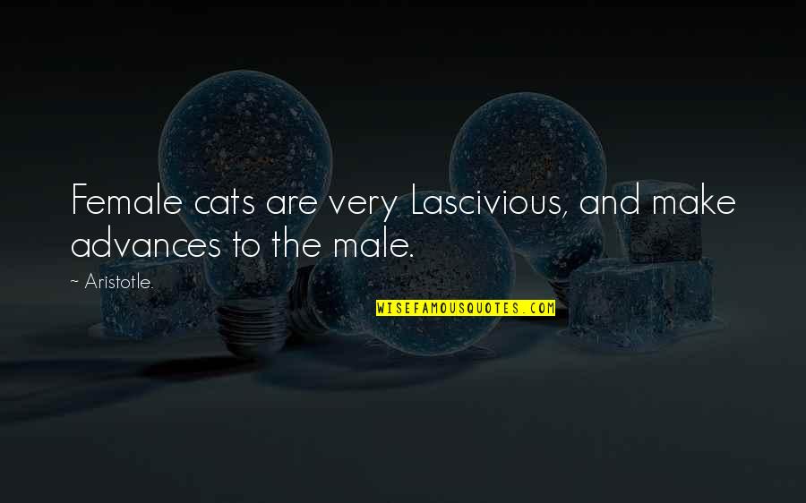 Being Strong When Someone Hurts You Quotes By Aristotle.: Female cats are very Lascivious, and make advances