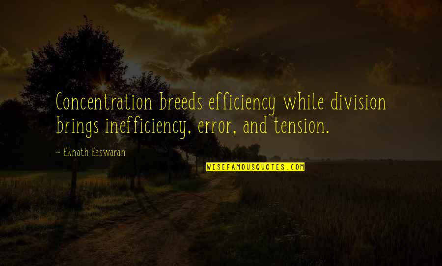 Being Stuck In Your Mind Quotes By Eknath Easwaran: Concentration breeds efficiency while division brings inefficiency, error,