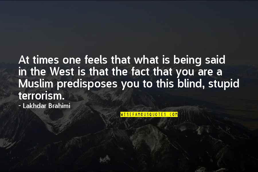 Being Stupid Quotes By Lakhdar Brahimi: At times one feels that what is being