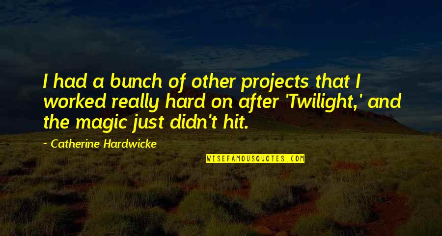 Being Sunburnt Quotes By Catherine Hardwicke: I had a bunch of other projects that
