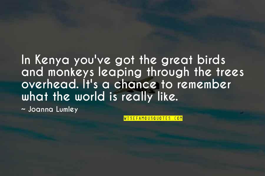 Being Tactile Quotes By Joanna Lumley: In Kenya you've got the great birds and
