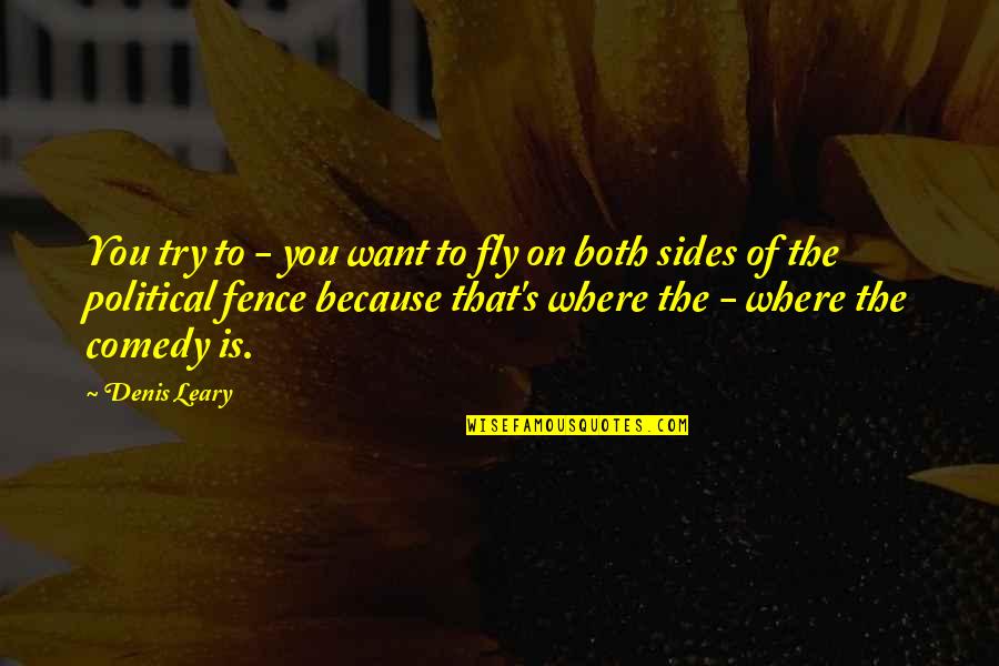 Being Teachable Quotes By Denis Leary: You try to - you want to fly Being Teachable Quotes By Denis Leary: You try to - you want to fly