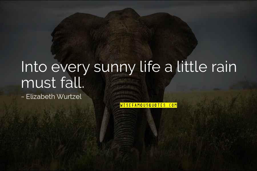Being The Author Of Your Life Quotes By Elizabeth Wurtzel: Into every sunny life a little rain must