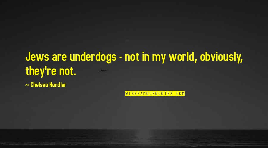 Being The New Girl At School Quotes By Chelsea Handler: Jews are underdogs - not in my world,