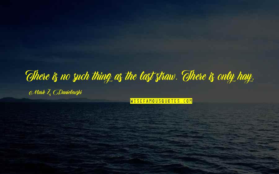 Being The One For Her Quotes By Mark Z. Danielewski: There is no such thing as the last