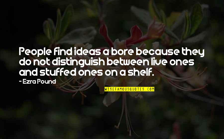 Being The Only One Who Cares Quotes By Ezra Pound: People find ideas a bore because they do