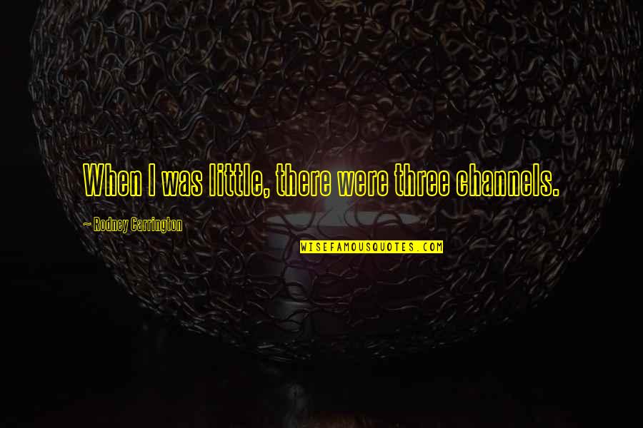 Being The Only One Who Cares Quotes By Rodney Carrington: When I was little, there were three channels.