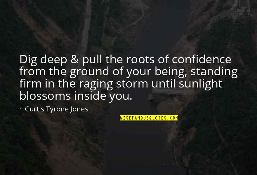 Being The Storm Quotes By Curtis Tyrone Jones: Dig deep & pull the roots of confidence