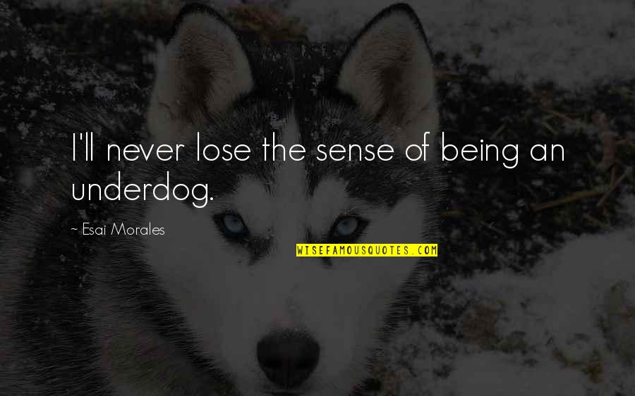 Being The Underdog Quotes By Esai Morales: I'll never lose the sense of being an