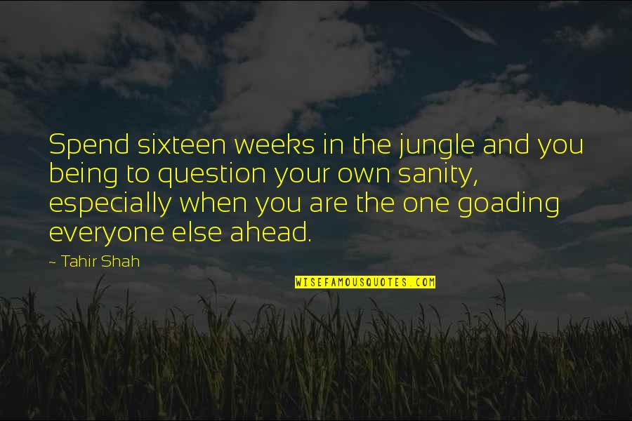 Being There For Everyone But No One Being There For You Quotes By Tahir Shah: Spend sixteen weeks in the jungle and you