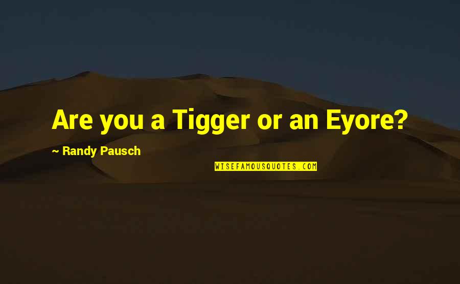 Being There For Your Teammates Quotes By Randy Pausch: Are you a Tigger or an Eyore?