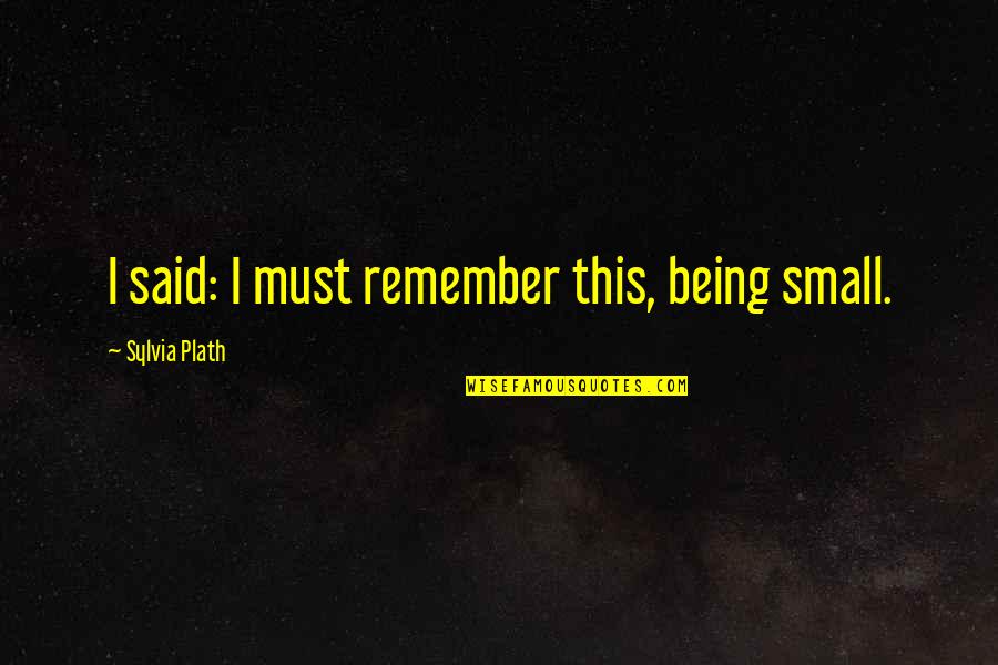 Being Too Small Quotes By Sylvia Plath: I said: I must remember this, being small.