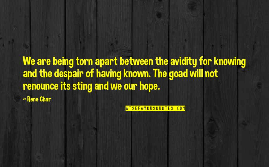 Being Torn Apart Quotes By Rene Char: We are being torn apart between the avidity
