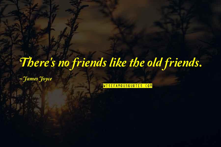 Being Tough On The Outside Quotes By James Joyce: There's no friends like the old friends.