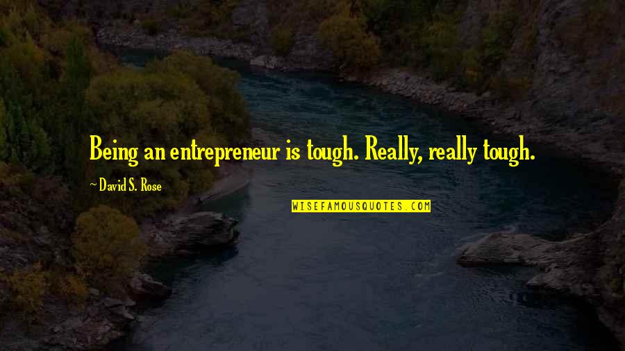 Being Tough Quotes By David S. Rose: Being an entrepreneur is tough. Really, really tough.