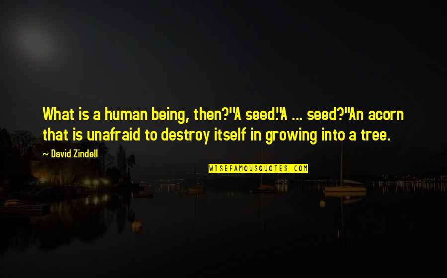 Being Unafraid Quotes By David Zindell: What is a human being, then?''A seed.''A ...