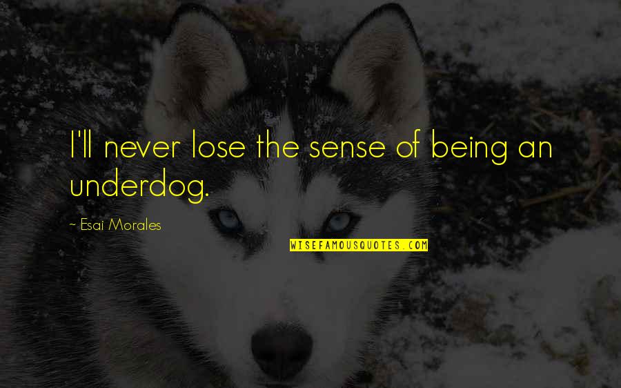 Being Underdog Quotes By Esai Morales: I'll never lose the sense of being an Being Underdog Quotes By Esai Morales: I'll never lose the sense of being an