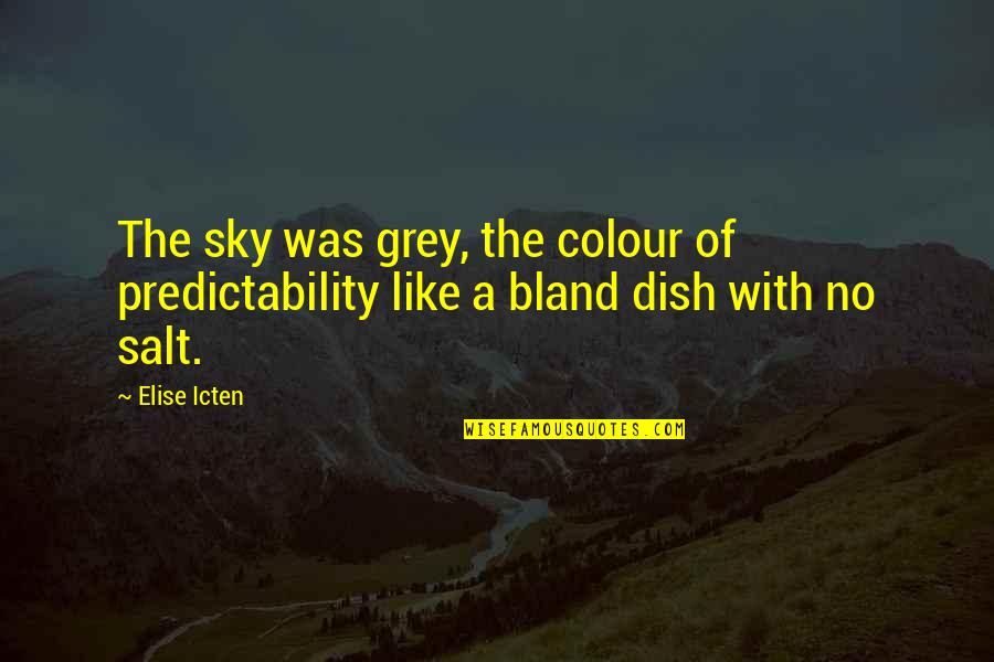 Being Underpaid Quotes By Elise Icten: The sky was grey, the colour of predictability