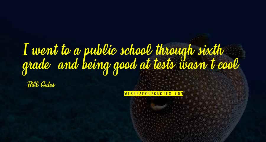 Being Unfaithfulness Quotes By Bill Gates: I went to a public school through sixth