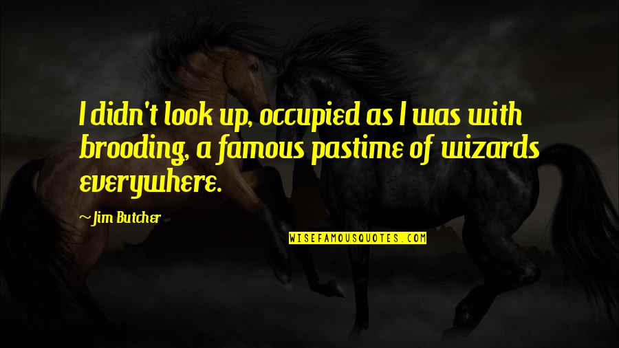 Being Unfiltered Quotes By Jim Butcher: I didn't look up, occupied as I was Being Unfiltered Quotes By Jim Butcher: I didn't look up, occupied as I was