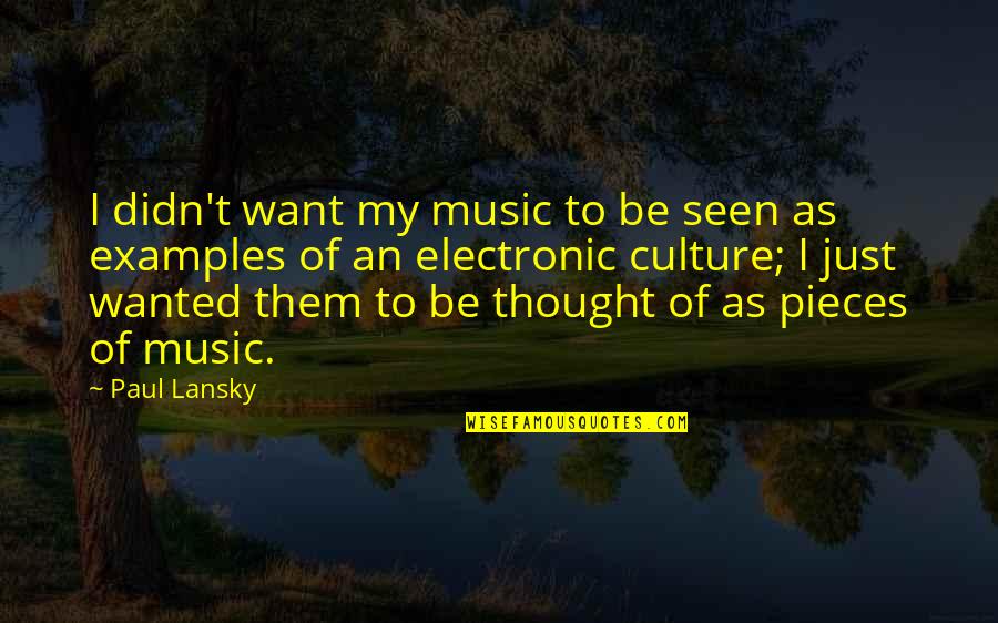 Being Unforgettable Person Quotes By Paul Lansky: I didn't want my music to be seen